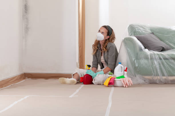 Reliable Mold Remediation contractor in Pottstown, PA by WQB Mold Removal